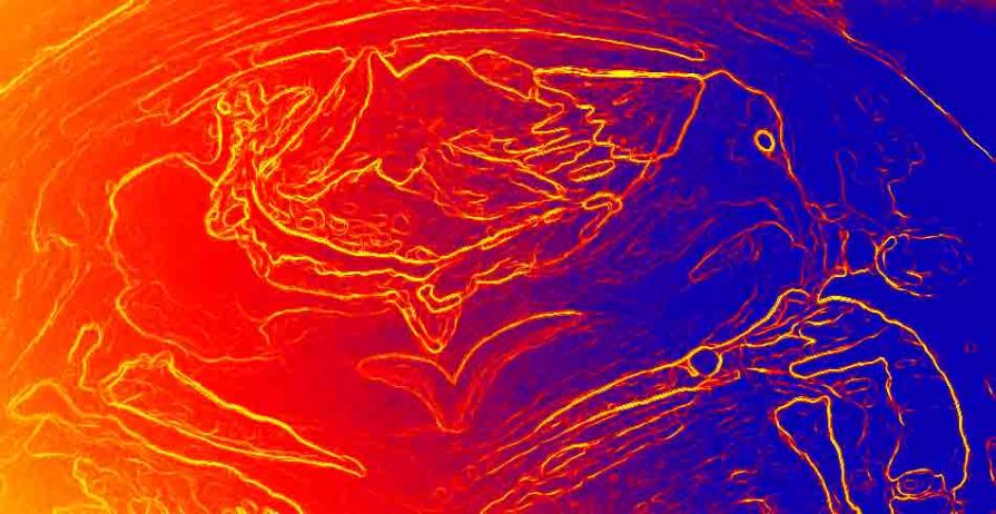 short befor hormonen mix