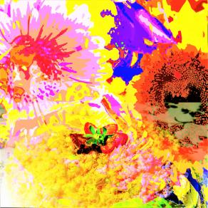 Donna.Come il sole che sorge e illumina, come una poesia, sei l'eleganza, la bellezza, il fascino, la vita, l'amore Tu Che Fai Tremar Il Cuor