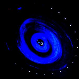 Letizia Ardillo-GAL-