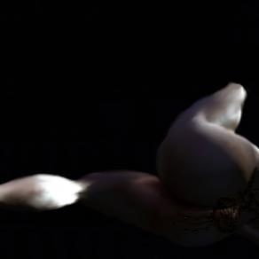 25/11/2018  ...As a cut flower at the edge of a meadow... VELUT PRATI/ULTIMI FLOS...