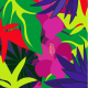 Magenta Tropical flower (Tropical Series)