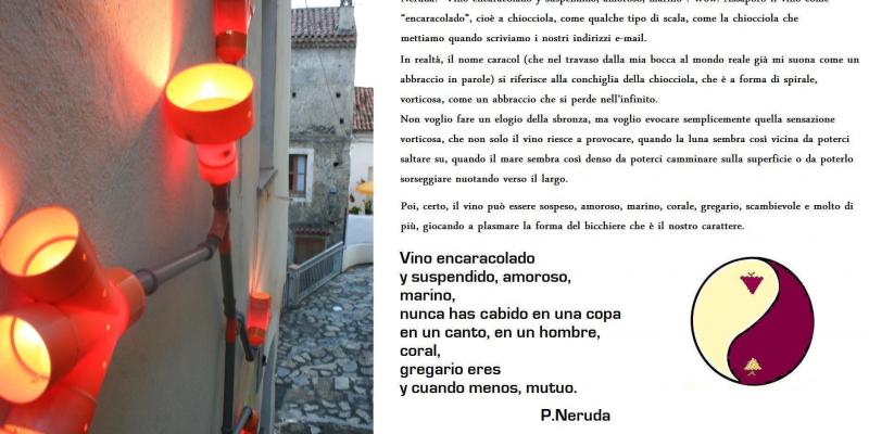 Installazione luminosa "Il Gecko" Installazione luminosa "Il Gecko"