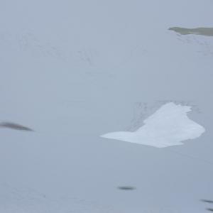 Desert - The Last Remaining Snow