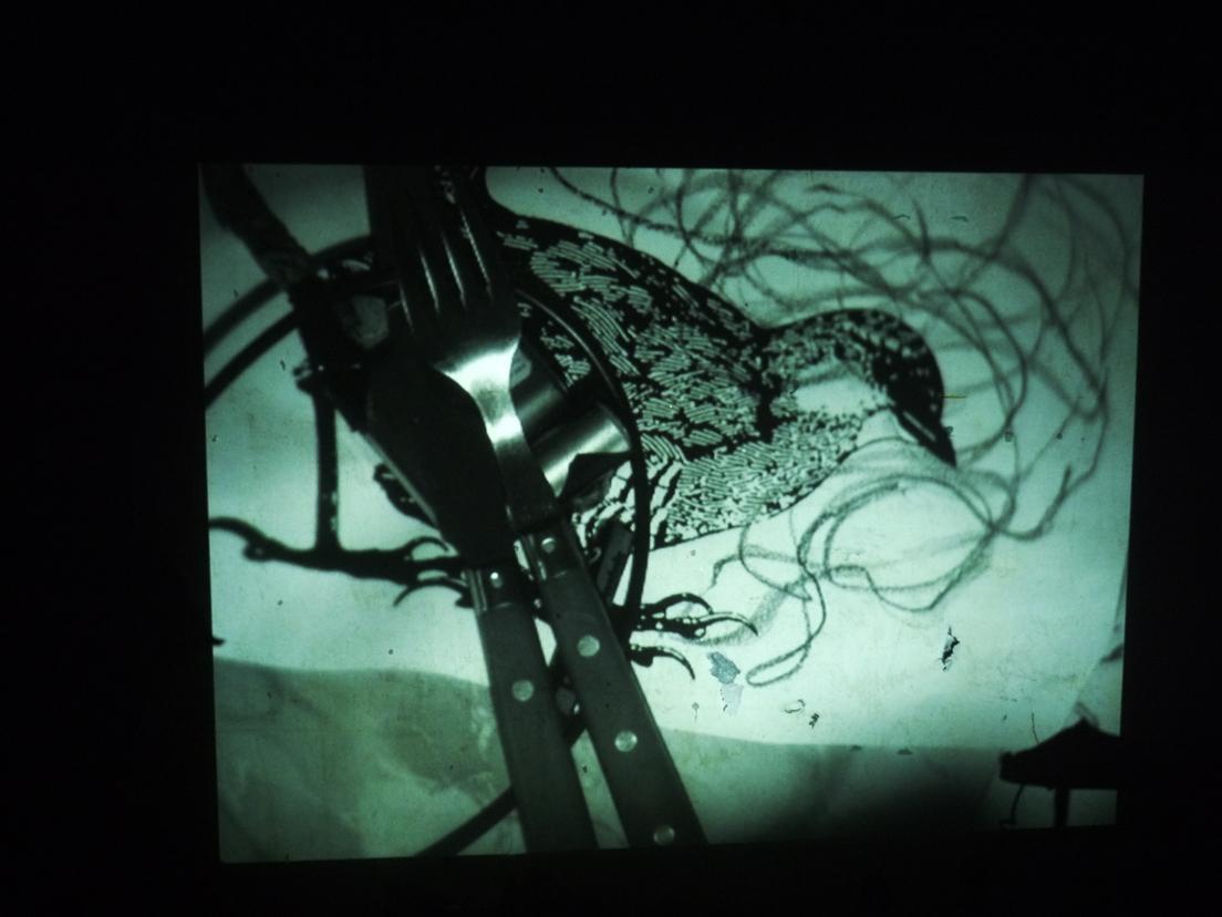 Harry @ Medialab Prado