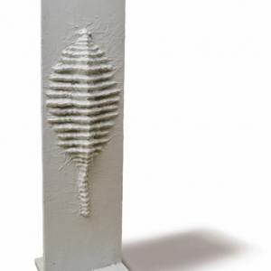 Il canto della terra