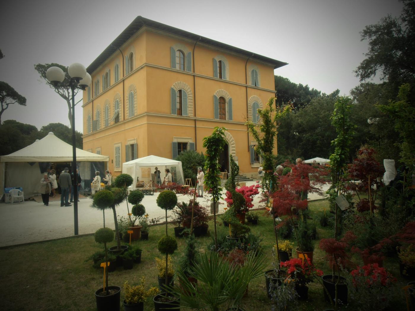 Concorso Internazionale "Creare"