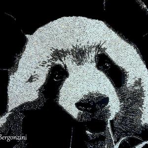 ANIMALS ART A PALAZZO DUCALE