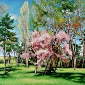 Galleria ArteArte di Mantova dal 25 maggio al 9 giugno.