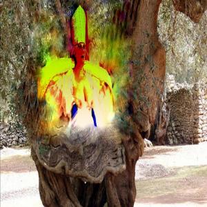 "Potentia divina gratia In Urlo d’Ulivo”di Rosa Didonna "Potentia divina gratia In Urlo d’Ulivo”di Rosa Didonna