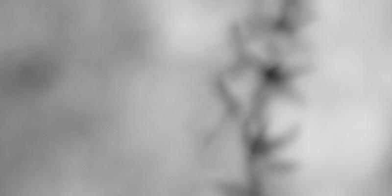 "Vowel" is apart of the exhibition "Another View / Black and White" SerenArte Organization