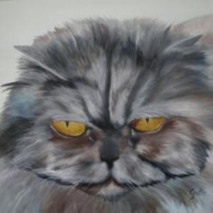 Il sorriso di Roberta per l'UNICEF - progetto ricostruire l'infanzia