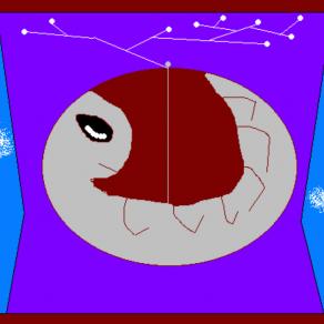 Chi nasce tondo può morire quadro