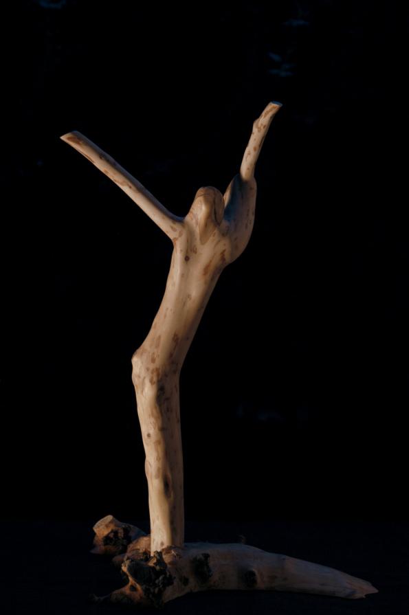 Anatomy of lightness Anatomy of lightness