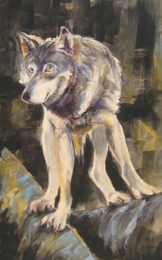 Lakota, Omega wolf Lakota, Omega wolf