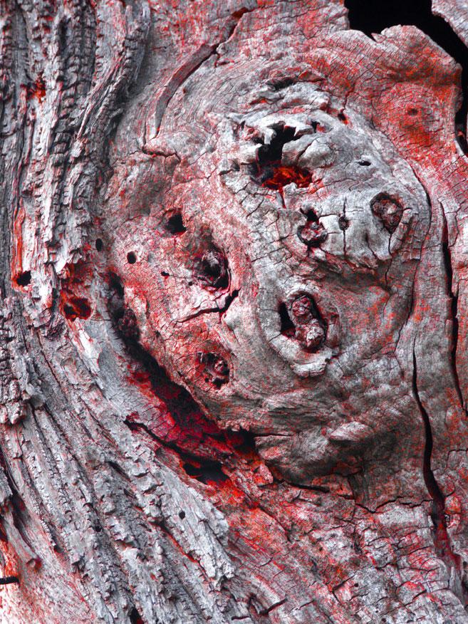 radioattivo radioattivo