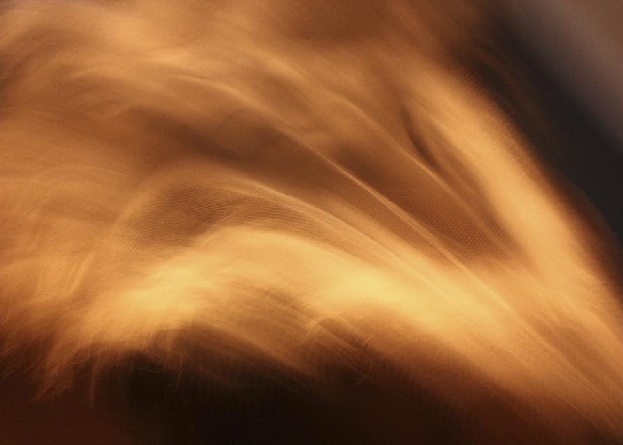 Falling Away_the feather Falling Away_the feather