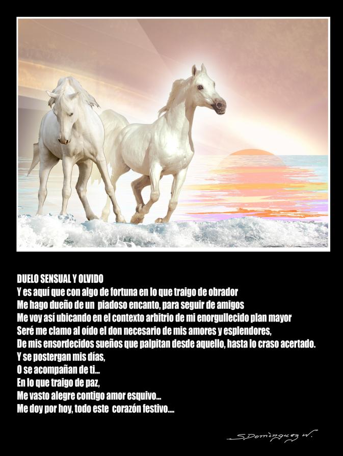 DUELO SENSUAL Y OLVIDO