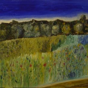 Campagna toscana a Fauglia