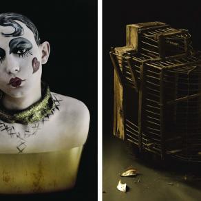 "THE PORNOGRAPHER (HAS) ESCAPED ... FREE- DOM FOR THE BIRD" Lura Zarrelli  