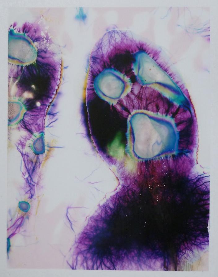 'Our Souls Captured In The Electromagnetic Field' (NO. 22) 'Our Souls Captured In The Electromagnetic Field' (NO. 22)