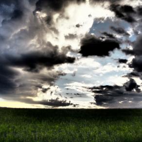 Autumn in the fields 