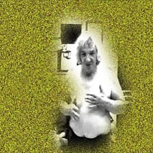 il viaggiatore incantato -  The Enchanted Pilgrim