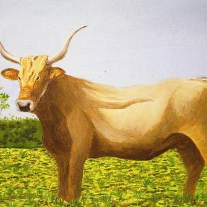 LG 0206 - Blond bull