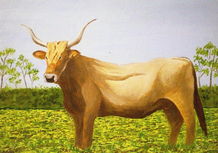 LG 0206 - Blond bull