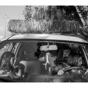 Immagine - Tout simplement ... Famille rurale - Fienagione giovane