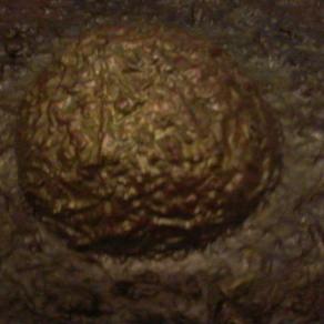 In Principio la Materia si fece forma