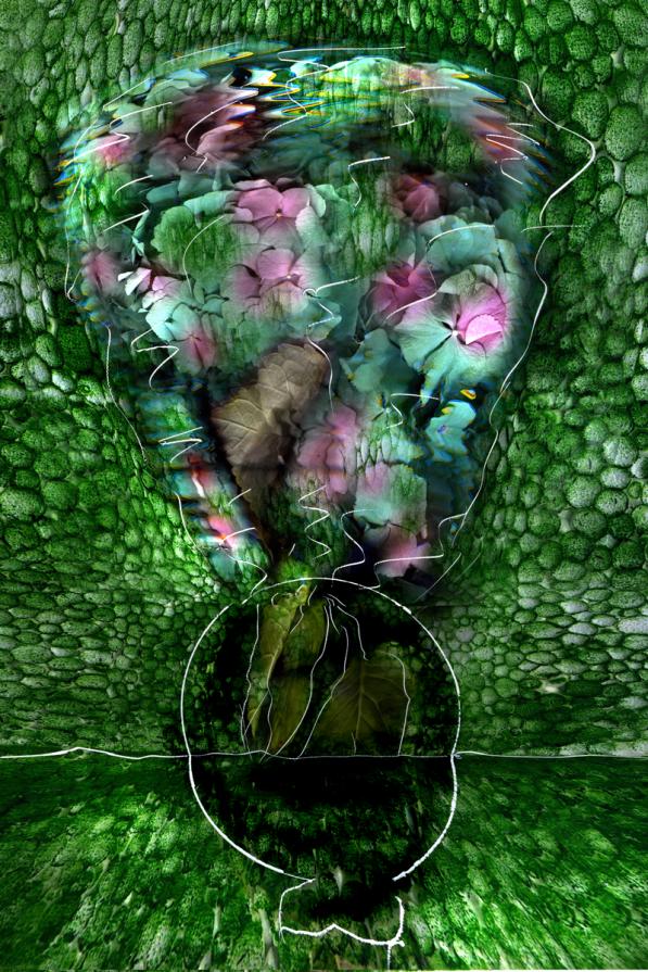 polistirolo cromie .verdiortensie in fiore.