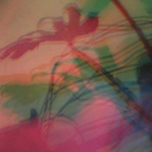 I colori della biodiversità -2015