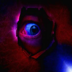 . . . L'INVIDIOSO MI LODA SENZA SAPERLO !!! . . . 