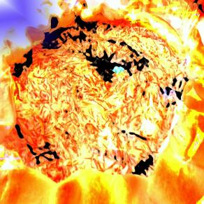 . . . MALEDETTA PRIMAVERA !!! . . . 