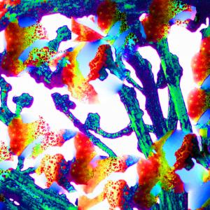 Burnt Stubs Recolored 1