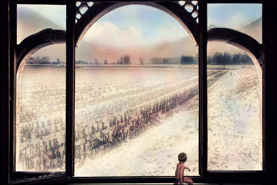 Ritorno Alla Natura Invernale