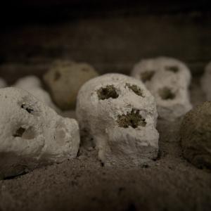 Gli uomini sono stupidi Gli uomini sono stupidi