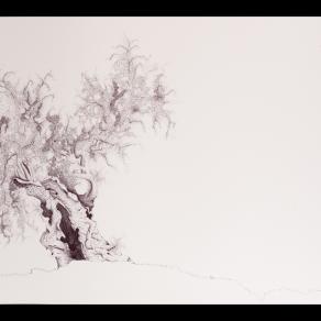 a U L I V O o f R 7 ®