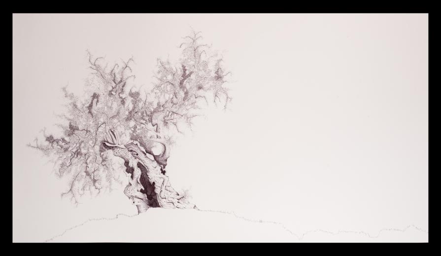 a U L I V O o f R 7 ®