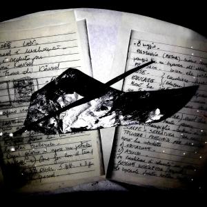 La forma del pensiero La forma del pensiero