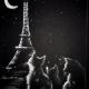 chats parisienne