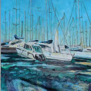 Cala de Medici particolare