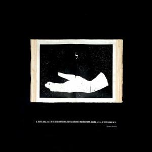 Letizia Ardillo -Il Tutto Letizia Ardillo -Il Tutto