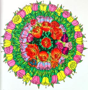 La danza dei papaveri...!!!