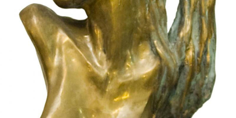 Benedetto Robazza - sculture