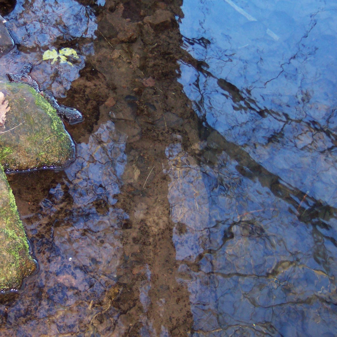 TRACCE SVELATE 2011 - FOTOGRAFARE - Personale Paola Marinelli TRACCE SVELATE 2011 - FOTOGRAFARE - Personale Paola Marinelli