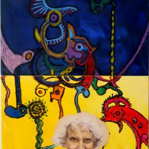 "Born to be alive" - Esposizione in Biblioteca Civica Ragazzi - via Cappello, 43 