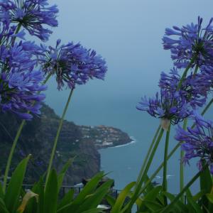 Maristella Angeli third photo contest "The Estate is within you" 