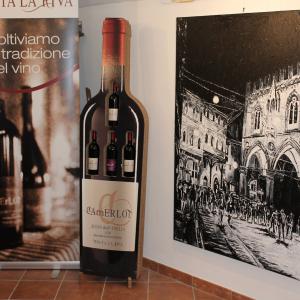 Mostra inaugurazione ristorante l'Arcimboldo