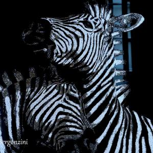 ANIMALS ART A PALAZZO DUCALE